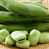 10種類の豆類から筋トレにおすすめな高タンパク低脂質な豆を紹介：いんげん豆とそら豆の驚くべき栄養価