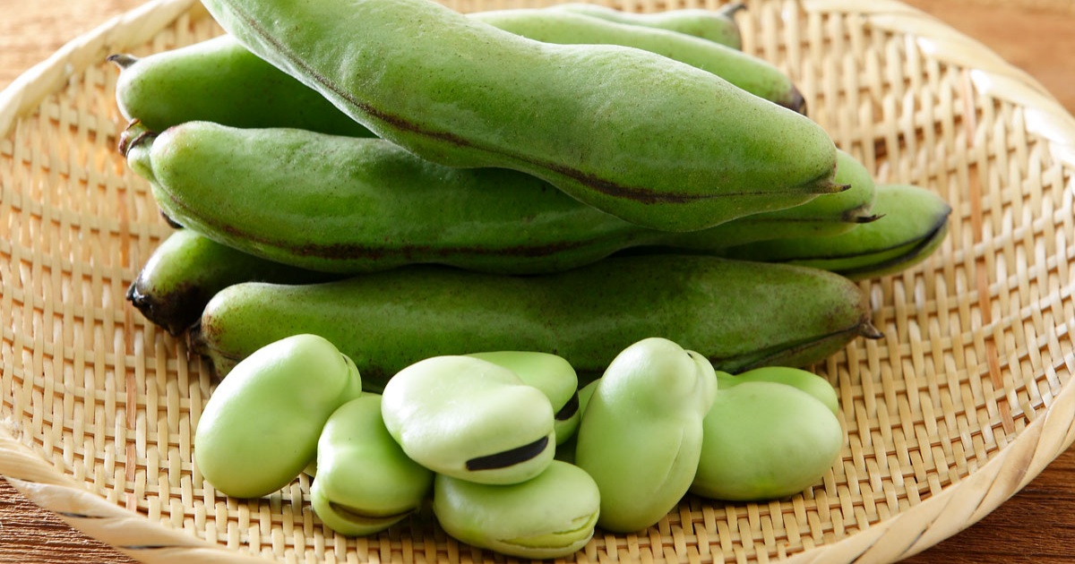 10種類の豆類から筋トレにおすすめな高タンパク低脂質な豆を紹介 いんげん豆とそら豆の驚くべき栄養価 Pfcチェック